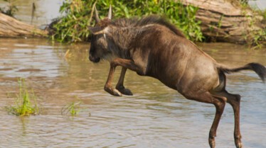 Ep1_003_Africas Blood River.JPG