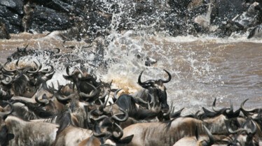 Ep1_006_Africas Blood River.JPG