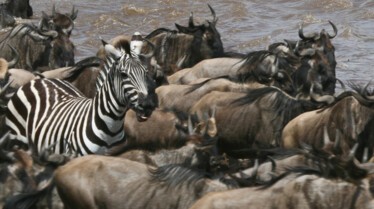 Ep1_007_Africas Blood River.JPG