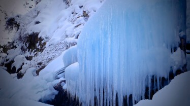 Destination Wild Japon 8.jpg