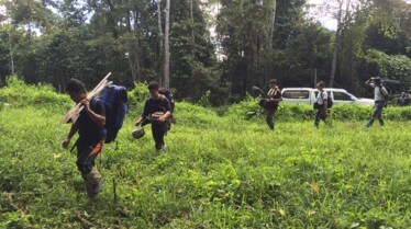 Rhino de Sumatra 4.jpg