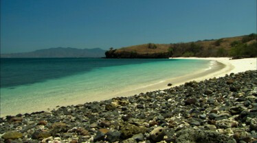 L'île au venin 1.JPG