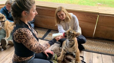 Trafficked - Tigers 2.jpg