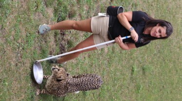 Au coeur du Zoo 1.jpg