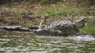 Merveilles de l'afrique - Rwanda 2.jpg