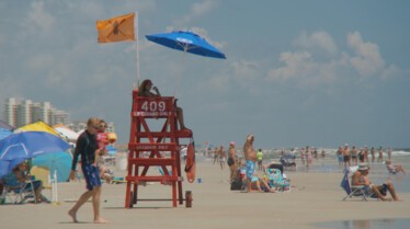 When Shark Attack 3.jpg