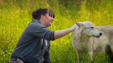 Wolf Watch 1.png
