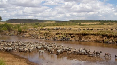 Rives Sanglantes 1.JPG