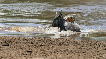 Rives Sanglantes 4.JPG