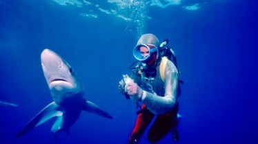 PlayingWithSharks_23 - Copy.jpeg