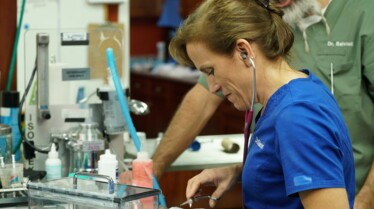 Clinique des animaux 2.jpg