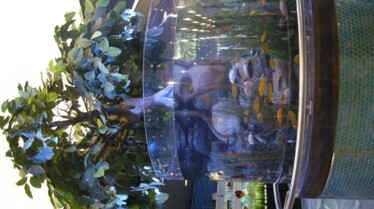 Le roi des aquariums 1.JPG