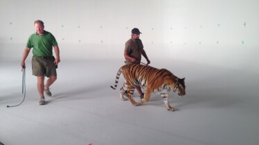 Operation sauvetage 1.jpg