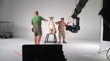 Operation sauvetage 2.jpg