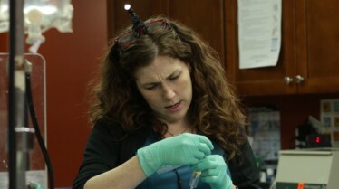 Clinique des animaux 2.jpg