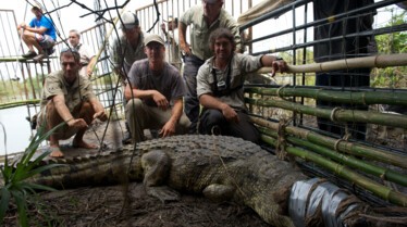 Man VS Crocodile 4.jpg