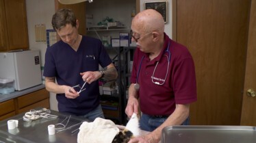 Dr Pol 4.JPG