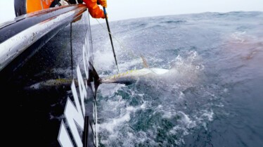 Pêcheur de légende 1.jpg