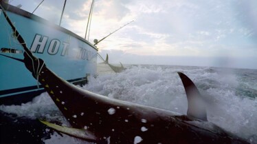 Pêcheur de légende 2.jpg