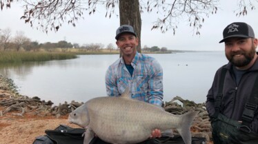 Fish my city 1.jpg