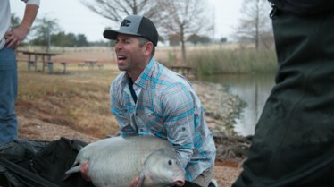 Fish my city 3.jpg