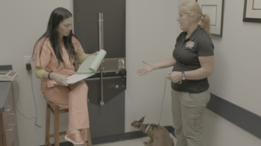 Urgences animales 1.tif