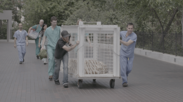 Urgences animales 2.tif