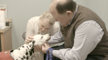 Urgences animales 5.tif