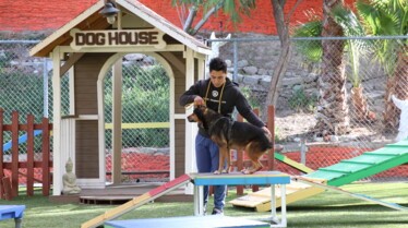 Cesar Millan - Better human better dog 3.jpg