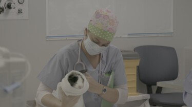 Urgences Animales - Branle-bas de combat 3.jpg