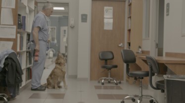 Urgences Animales - Branle-bas de combat 10.jpg