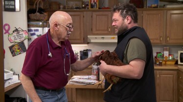 Dr Pol - Baby boom 1.jpg