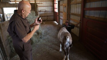 Dr Pol - Joyeux anniversaire 1.jpg