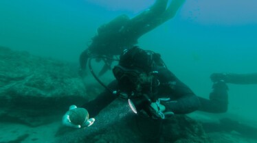 Les cités perdues d'Albert Lin - L'arche de Noé 2.jpg