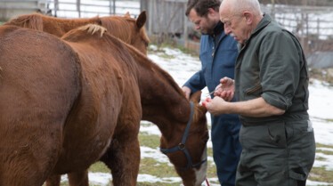 Dr Pol 1.jpg