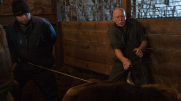 Dr Pol 4.jpg