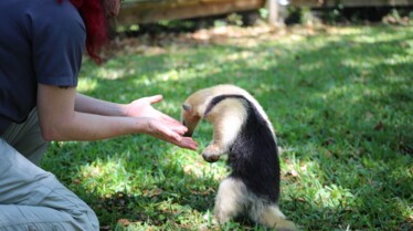 Au coeur du Zoo 2.jpg