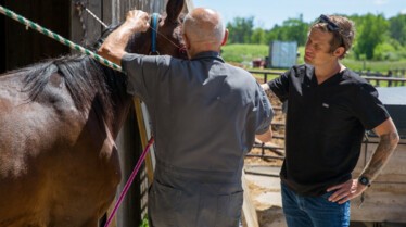 L'incroyable Dr Pol - Cheval amish  2.jpg