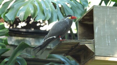 Secrets of The Zoo -  Tampa 3.jpg