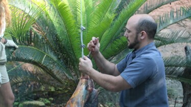 Secrets of The Zoo -  Tampa 4.jpg