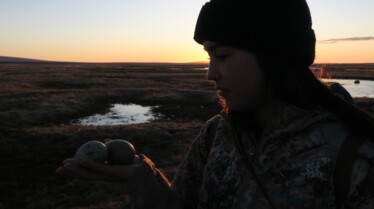 Alaska Nouvelle vie - Dans le sang 1.jpg