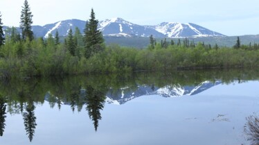 Alaska Nouvelle vie - Dans le sang 4.jpg