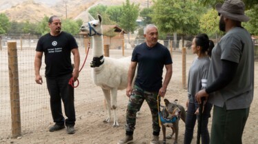 Cesar Millan Tel maître, tel chien - Apte au service 2.jpg