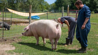 L'incroyable Dr Pol - Accident de chasse 1.jpg