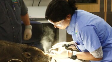 Secrets of The Zoo - Tampa 1.jpg