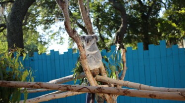 Secrets of The Zoo - Tampa 3.jpg