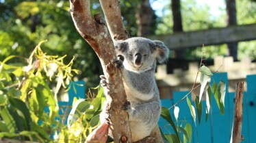 Secrets of The Zoo - Tampa 4.jpg
