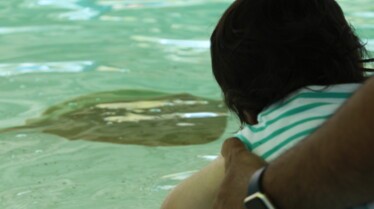 Secrets of The Zoo - Tampa 6.jpg