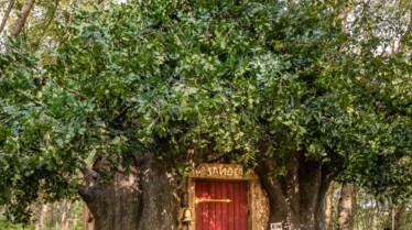 02_Winnie the Pooh House 2 - Airbnb - CREDIT Henry Woide.jpg