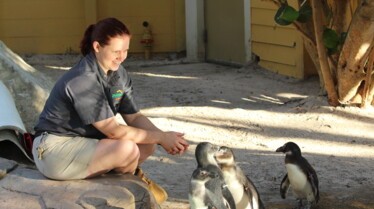 Au coeur du zoo Tampa.jpg